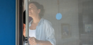 retractable security screen doors