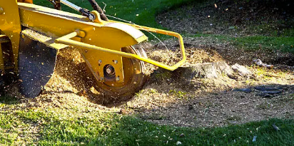 stump removal Adelaide Hills