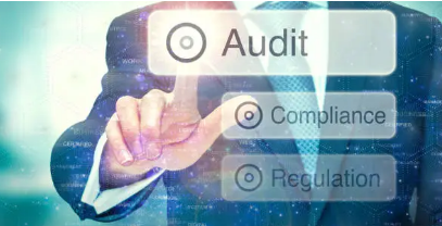 NDIS audit support