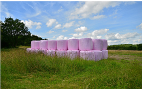 silage film